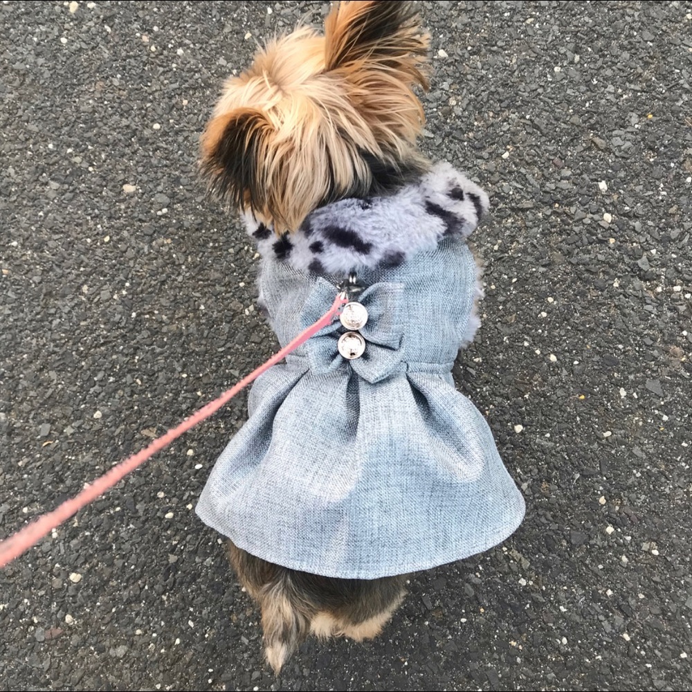 Elegant Dog Coat